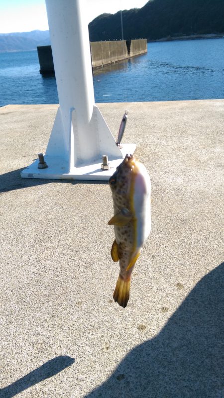 なんとか釣れました(^_^)v